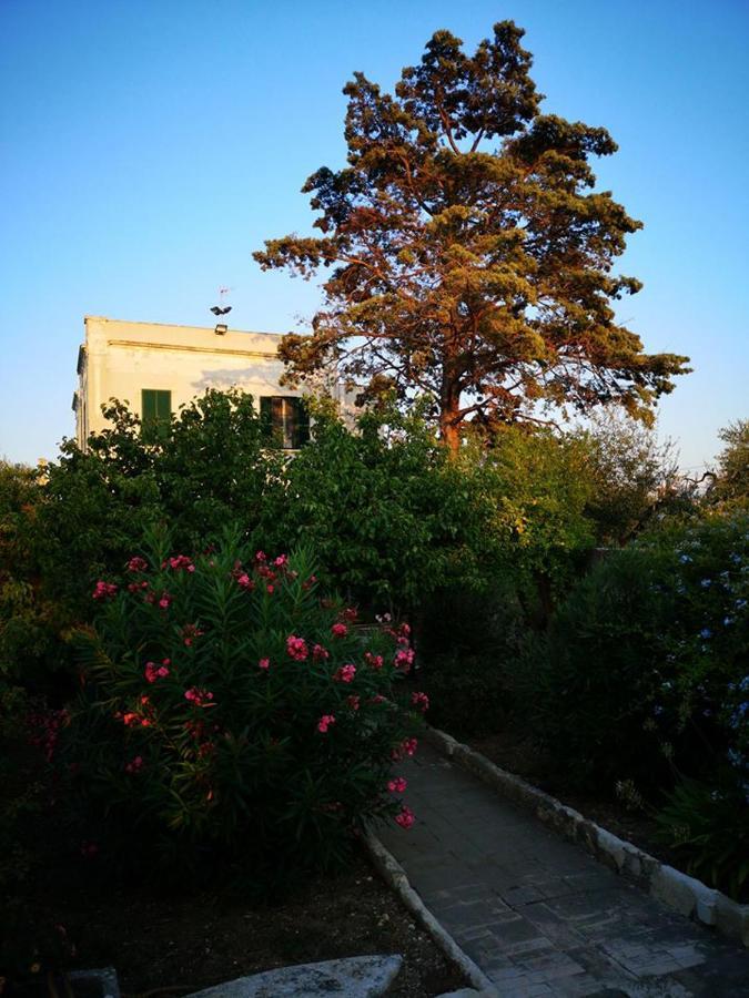 B&B Villa Maria Giovinazzo Exterior foto